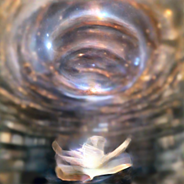 Complex Prompt 5 Steps